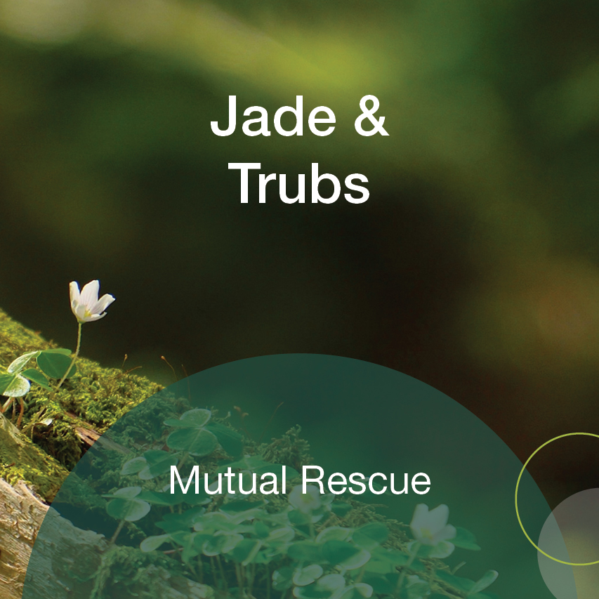jade trubs jade trubs